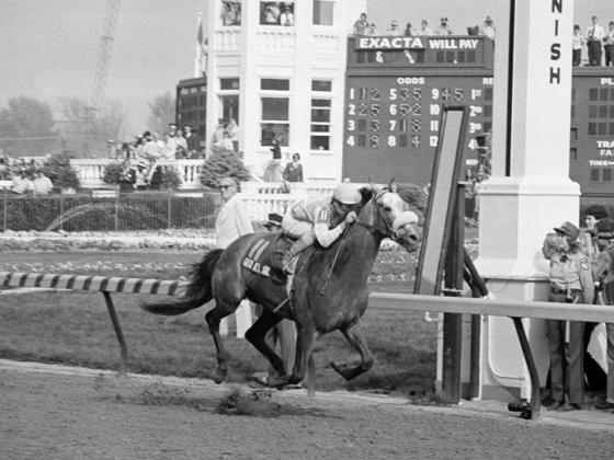 1982 Kentucky Derby winner Gato del Sol