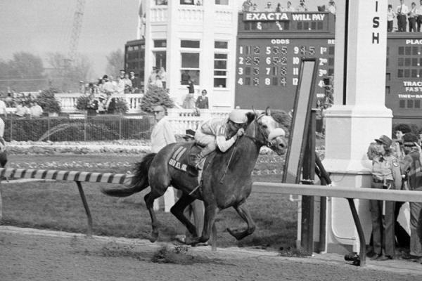 1982 Kentucky Derby winner Gato del Sol