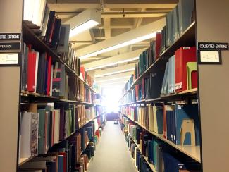 A sunny window between two bookshelves