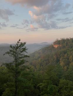 Clouds, pine trees, and cliffs of the Red River Gorge at sunset