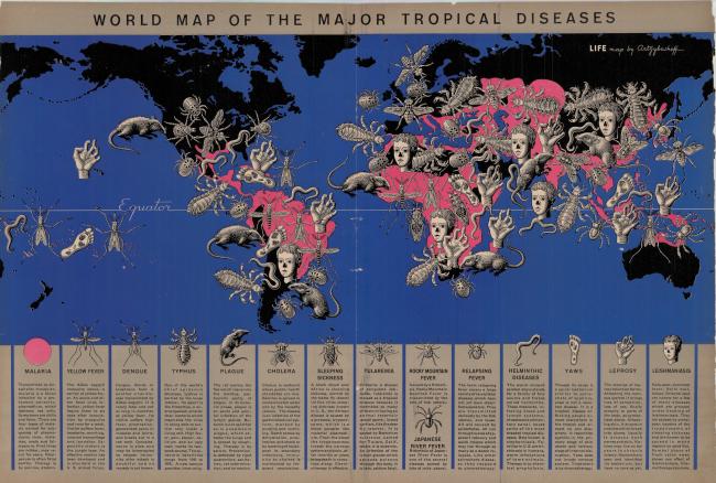 The World Map of the Major Tropical Diseases, describing 15 diseases