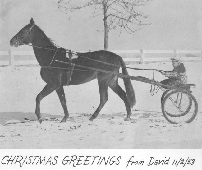 A Christmas card picturing a horse pulling a buggy with a young boy