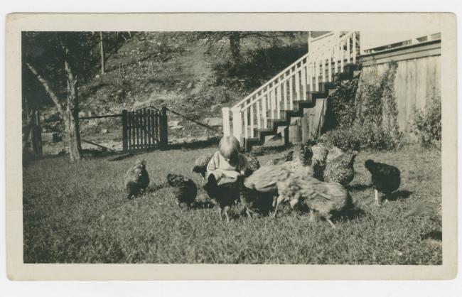Archival photograph depicting a young girl in a yard full of chickens