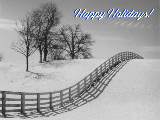 A fence in a field of snow