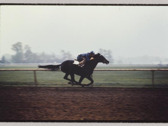 Photo slide of horse performing morning workout at Keeneland racetrack
