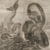 19th century newspaper image of fighting sea monsters